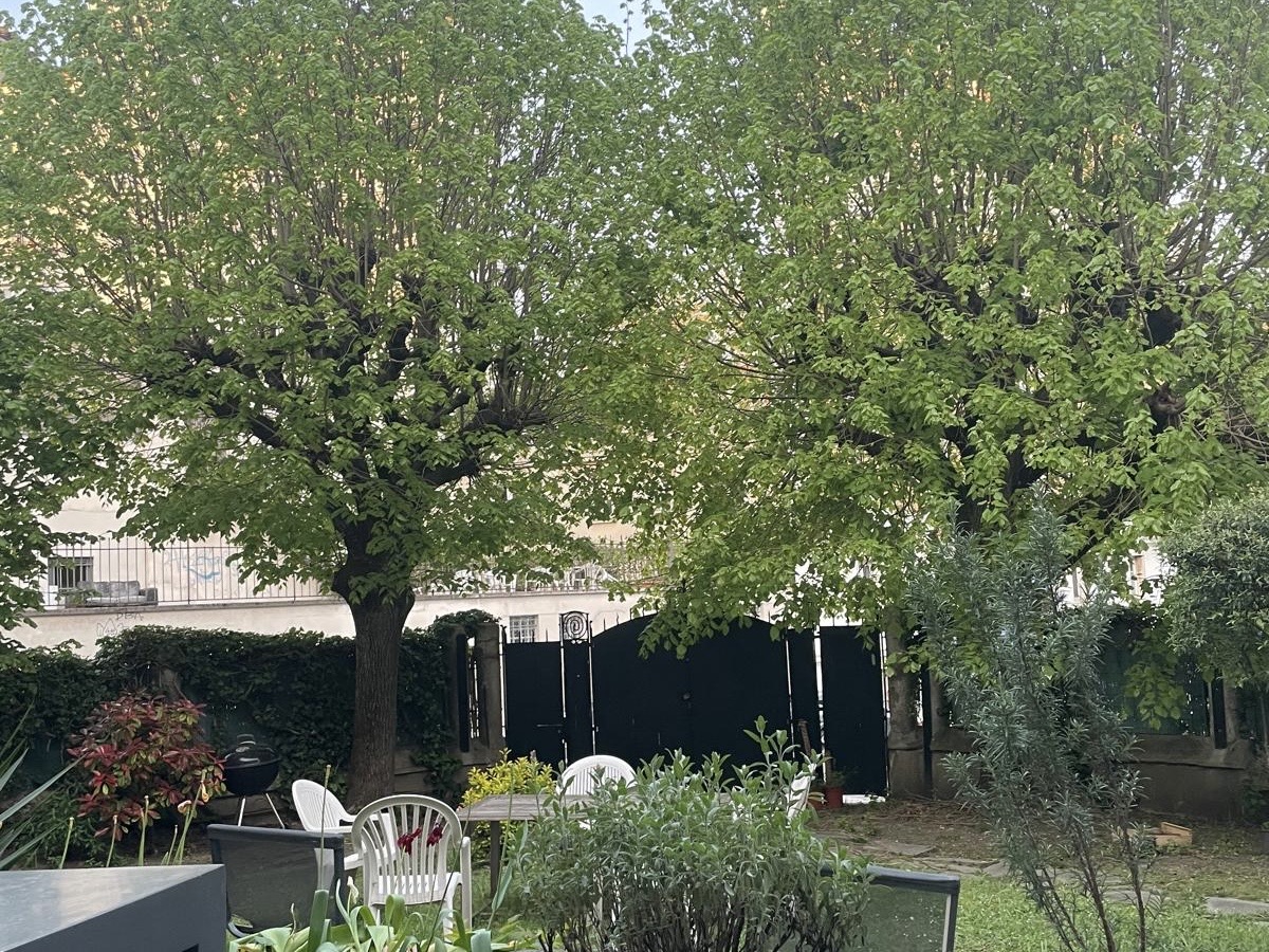 Garden at Villa Paul Strauss with mature tree, lawn and landscaped outdoor setting.