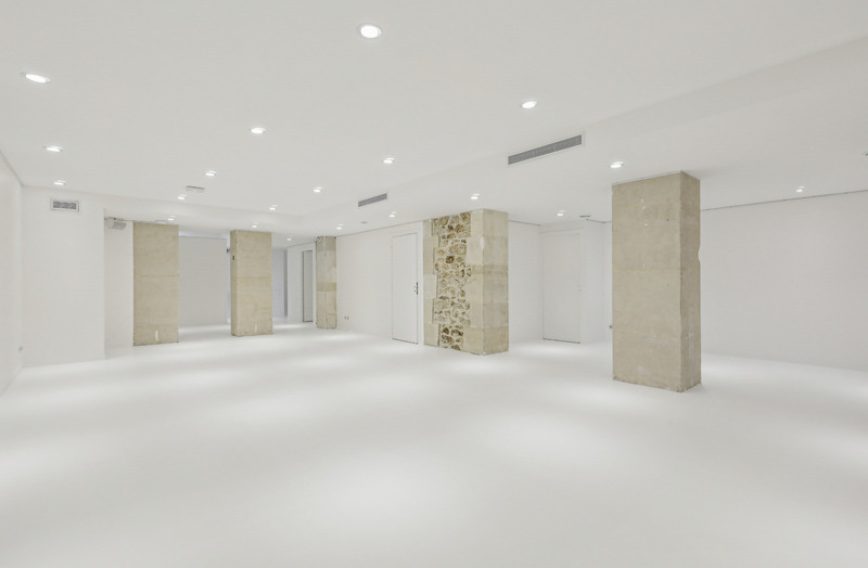 Lower level 130 m² with stone columns — showroom basement Paris 1